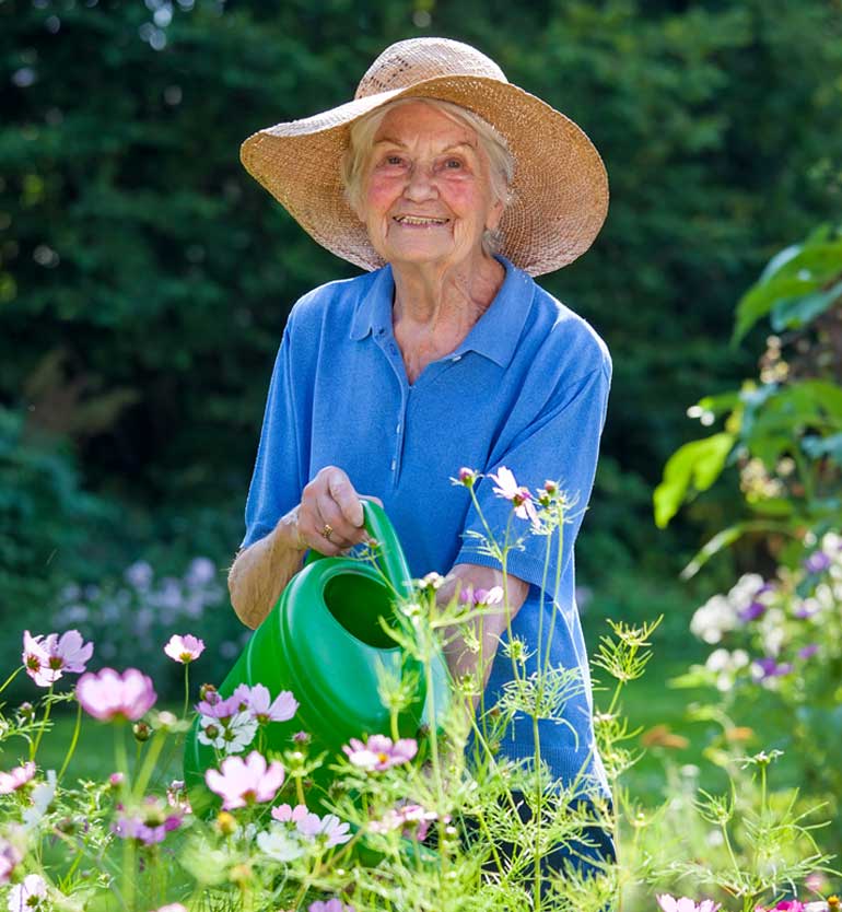 senior-gardening An elderly woman watering flowers in a garden, wearing a blue shirt and a large straw hat.
